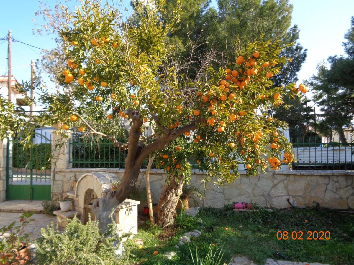 Traditional Guesthouse Asimakis Anifion 外观 照片