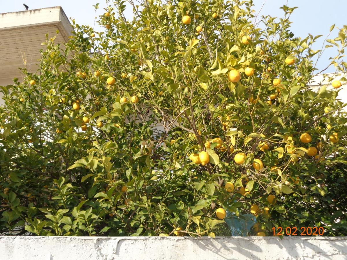 Traditional Guesthouse Asimakis Anifion 外观 照片