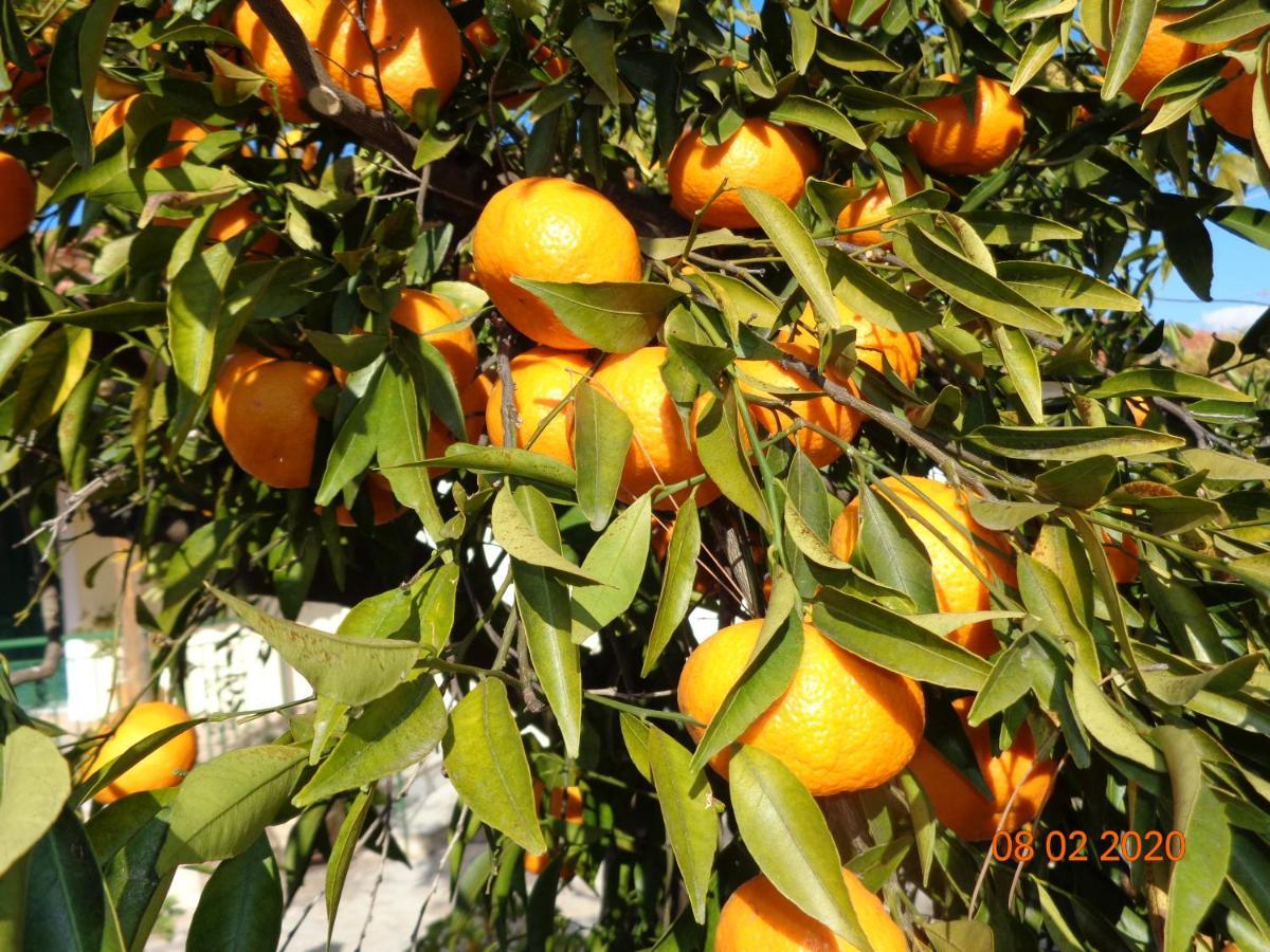 Traditional Guesthouse Asimakis Anifion 外观 照片